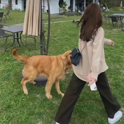 速成男子汉